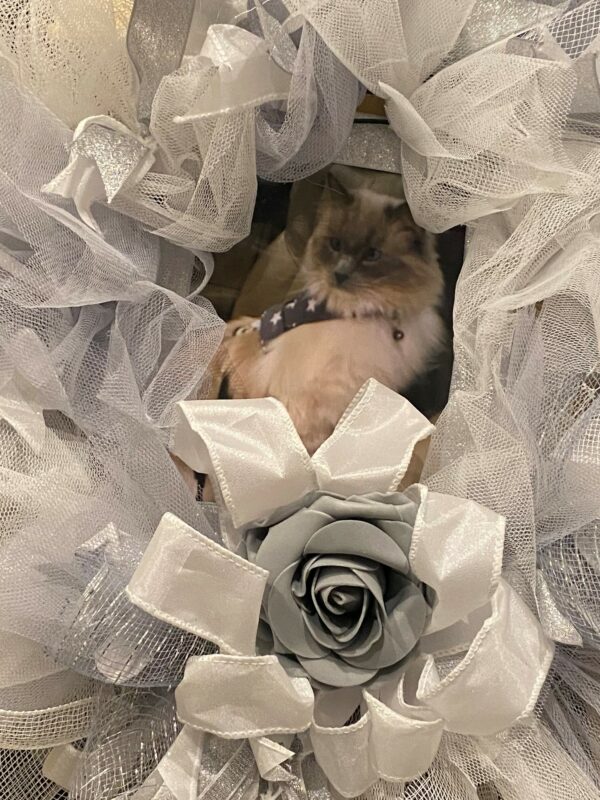 Bespoke Skye's A Handsome Boy Decorative Wreath - Image 7